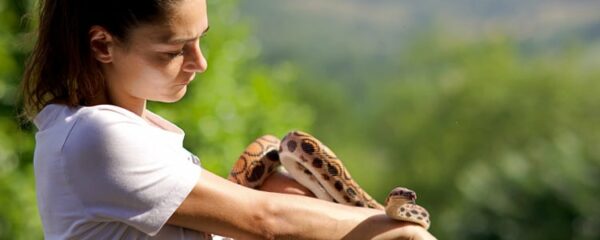 métiers animaliers