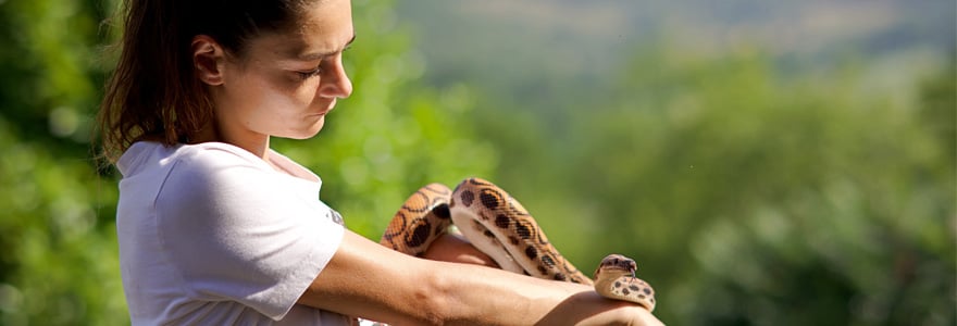 métiers animaliers